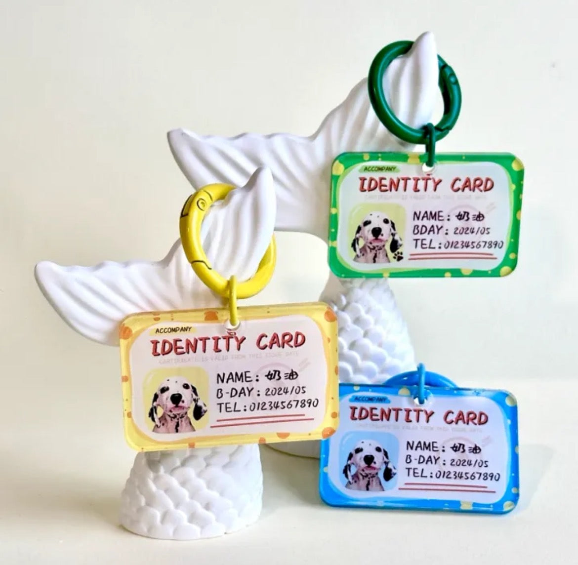 PawsCube Personalized Pet ID Collar Tags: Photo Customization, Dopamine Color Collar Set, Fashionable and Cute Pet Equipment